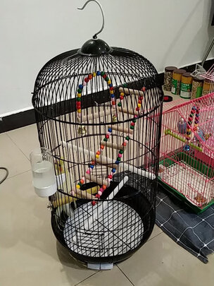 鸟笼
