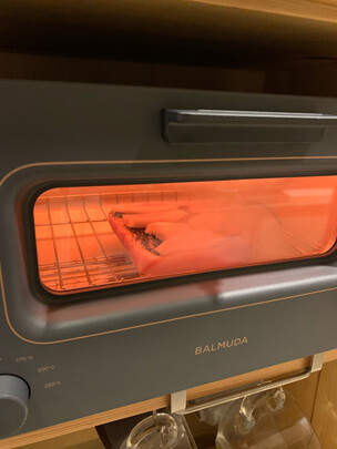 BALMUDAK01H蒸烤箱|BALMUDAK01H蒸烤箱好吗？图文评测曝光