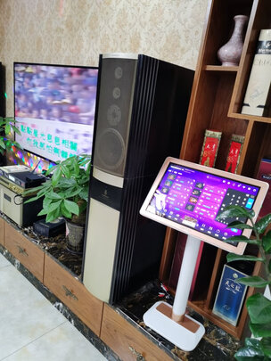 威斯汀OK-189|威斯汀OK-189真实使用感受？真相必看