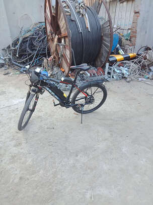 电动自行车