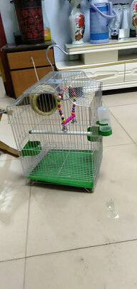 鸟笼