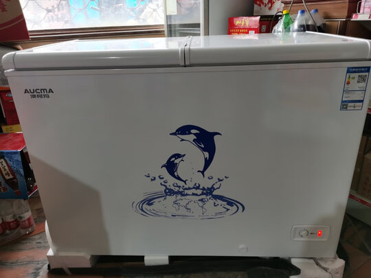 冰柜|澳柯玛BC/BD-306NE冰柜到底怎么样，参数如何！