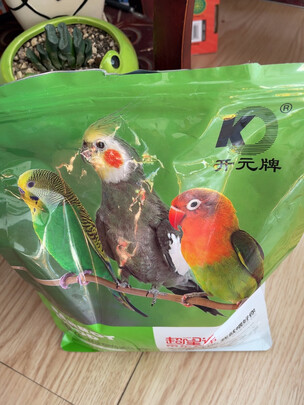 鹦鹉饲料