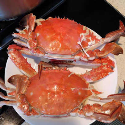 图片[1] - 青岛梭子蟹好不好？鲜活2斤6-8只，让你品尝超大蟹类海鲜 - 淘实惠
