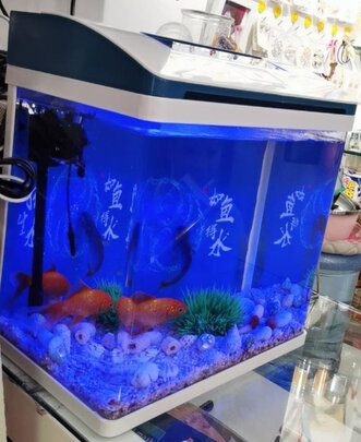 智能鱼缸