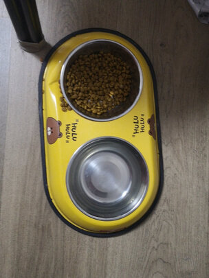 猫碗狗碗