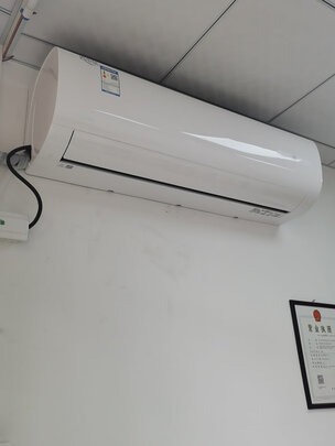 不吹不黑美的省电星和小鲸鲨哪个好，用户分析感受！