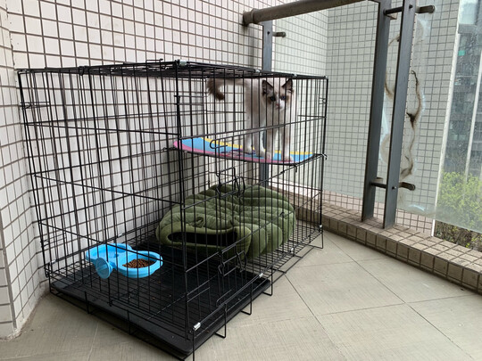 猫笼