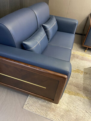 居克斯邦沙发WZK1028一周使用彻底爱上了吗