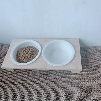 猫碗狗碗
