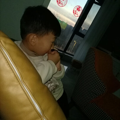 坚果G9S选择五大雷区要慎重
