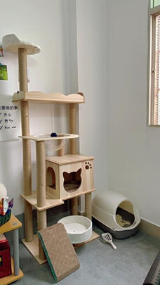 猫爬架