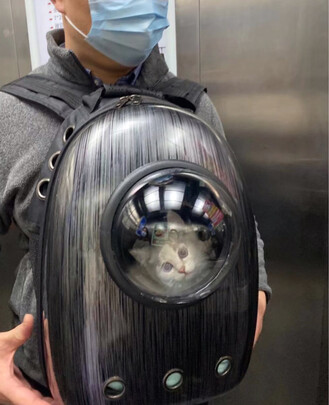 宠物包