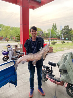 【专业评测】武汉天元浪尖巨物鱼竿怎么样?不看后悔！