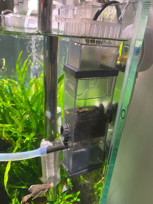 鱼缸水泵