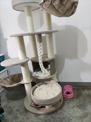 猫爬架