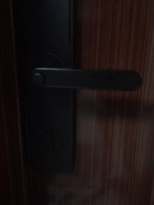 小米MJZNMSQ01YD指纹锁|小米MJZNMSQ01YD指纹锁怎么样评测分析结果告知！