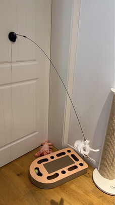 逗猫棒