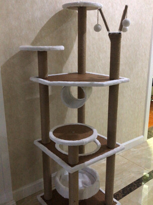 猫爬架