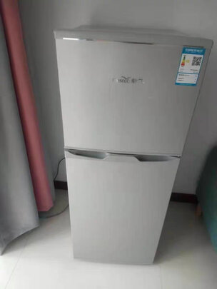 新飞（Frestec）118升 小型双门两门小冰箱家用宿舍 租房冰箱办公室 迷你节能 环保内胆（钛空银）BCD-118L2D