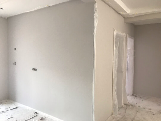 乳胶漆|德国阿尔贝娜乳胶漆到底怎么样，参数如何！