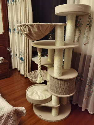 猫爬架