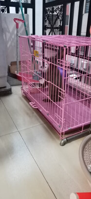 兔粮