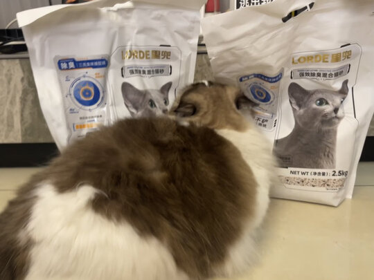 豆腐猫砂
