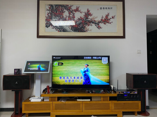 山水H15|山水H15家庭ktv音响怎么样？是否真的很好？用后感受