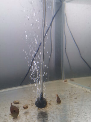 鱼缸氧气泵
