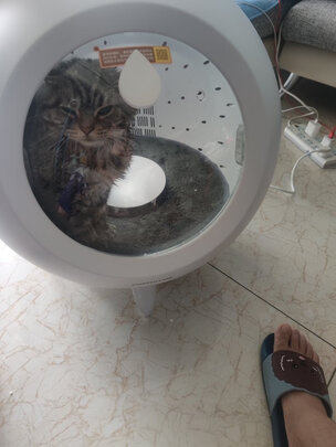 宠物烘干箱