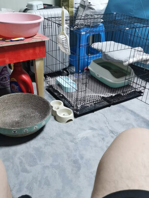 宠物饮水机