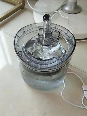 宠物饮水机