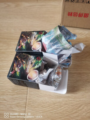 乌龟晒背灯泡