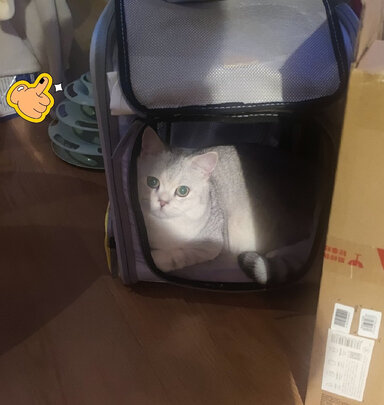 猫包