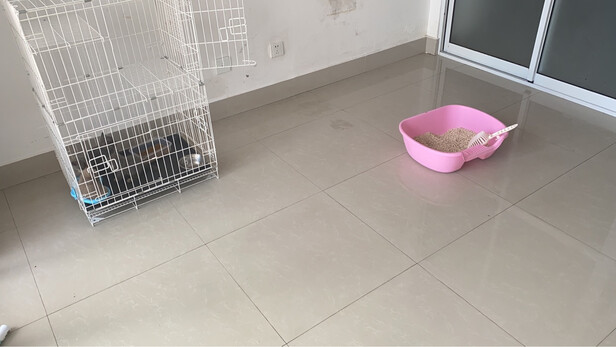  猫笼
