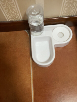 猫碗狗碗