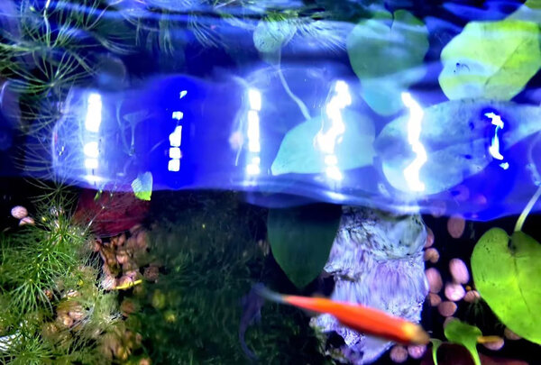 鱼缸水草灯