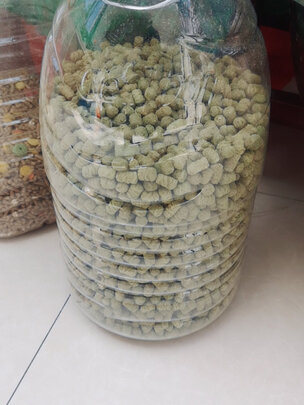 兔粮苜蓿草