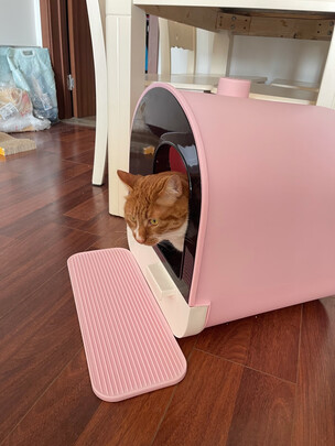 猫砂铲