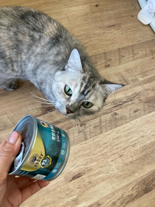 猫粮罐头