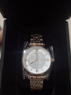 安普里奥·阿玛尼AR60023手表|安普里奥·阿玛尼AR60023手表怎么样？亲身体验告知你实情！