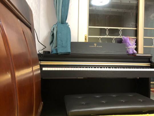 特伦斯ST-8815电钢琴|客观评价特伦斯ST-8815电钢琴怎么样？上手三周说真相