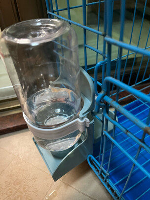 宠物自动喂食器