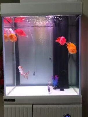 鱼缸净水剂