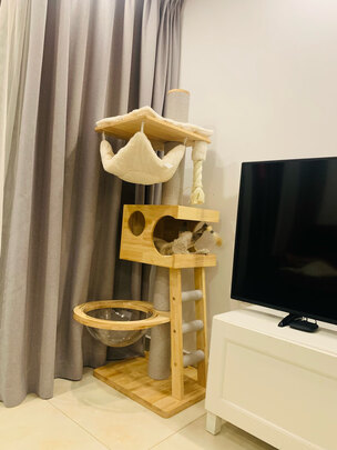 猫爬架