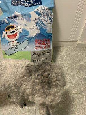 狗粮