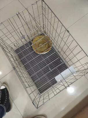 鸟笼