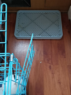 狗厕所