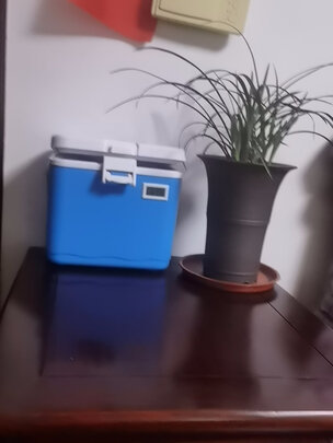 车载保温箱